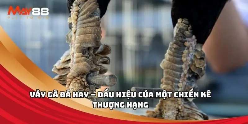 Việc đăng ký tài khoản Pk88 chỉ mất ba bước - Pk88